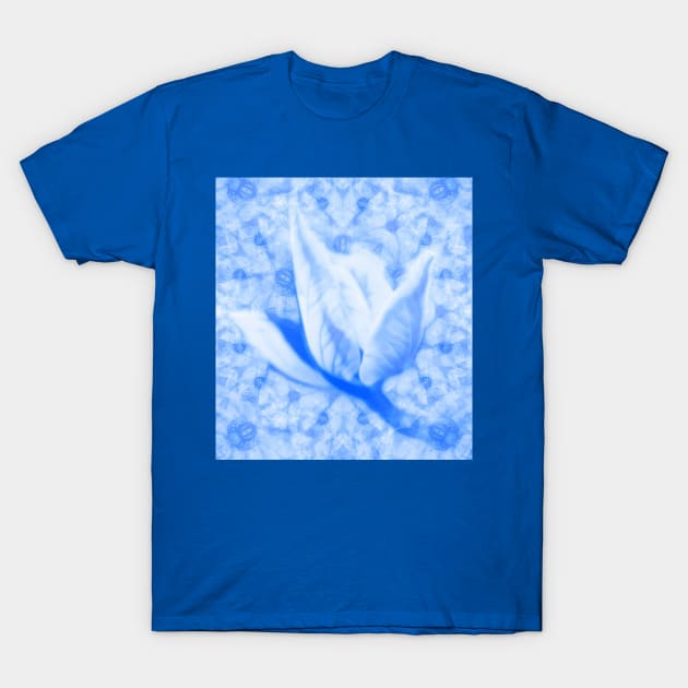 Abstract Bauhinia flower in blue T-Shirt by hereswendy